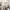 Hoc Volo cover