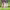 https://res.cloudinary.com/billionhands/image/upload/v1780473516/items/zzjddumt2lojdqkkixq0.webp-3cover