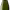 https://res.cloudinary.com/billionhands/image/upload/v1780473569/items/vpydbe5sntj9l5fxxk1q.png-0cover