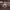 https://res.cloudinary.com/billionhands/image/upload/v1780473645/items/mcs6pzk5oqduvqcdwky4.jpg-2cover