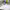 https://res.cloudinary.com/billionhands/image/upload/v1780475022/items/ygtkujtxnbrz3kyentmz.avif-1cover