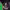 https://res.cloudinary.com/billionhands/image/upload/v1780475208/items/nkmhalyvahirg7ymq0ln.jpg-0cover