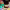 https://res.cloudinary.com/billionhands/image/upload/v1780475363/items/mlw4eekc4mvqgqysimpj.webp-3cover