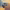 https://res.cloudinary.com/billionhands/image/upload/v1780475391/items/phctwppigwzuvffrmyuh.jpg-1cover