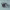 https://res.cloudinary.com/billionhands/image/upload/v1780475396/items/l13pcsjvwffskcdqfaoz.jpg-2cover
