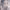 https://res.cloudinary.com/billionhands/image/upload/v1780475427/items/pvwvppiecbikllcrx4a3.png-3cover