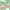 https://res.cloudinary.com/billionhands/image/upload/v1780475666/items/qscdadosij6ky5af1fsm.png-1cover