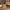 https://res.cloudinary.com/billionhands/image/upload/v1780476170/items/zblerfsk4zs7aseplev5.jpg-3cover