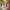 https://res.cloudinary.com/billionhands/image/upload/v1780476346/items/rgrf1dprq9zj0u0rqfr3.jpg-2cover