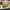 https://res.cloudinary.com/billionhands/image/upload/v1780476746/items/sjawmx6pog4lbdyfap85.jpg-0cover