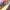 https://res.cloudinary.com/billionhands/image/upload/v1780478179/items/dp6w3ptrw0edoijymtgh.jpg-3cover