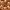 https://res.cloudinary.com/billionhands/image/upload/v1780478214/items/kytfokac27o4hhhroymg.jpg-2cover