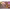 https://res.cloudinary.com/billionhands/image/upload/v1780478276/items/cuxjctywnja8xeaqjnr2.png-3cover