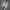 https://res.cloudinary.com/billionhands/image/upload/v1780478396/items/bhkhqlj87nogictfckph.webp-0cover
