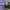 DCI Tour Preview (Muncie, IN) cover