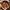https://res.cloudinary.com/billionhands/image/upload/v1780479103/items/a0mkefdbl1vlptwlxawz.jpg-2cover