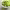 https://res.cloudinary.com/billionhands/image/upload/v1780479892/items/hpbgba3dgoejtwp0vwc3.jpg-0cover