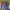 https://res.cloudinary.com/billionhands/image/upload/v1780480198/items/yrzxng4sntpe16zb4vqi.jpg-0cover