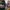 https://res.cloudinary.com/billionhands/image/upload/v1780480271/items/b6khhnaptm1wdu1uslhu.jpg-1cover