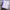https://res.cloudinary.com/billionhands/image/upload/v1780480456/items/cotpedr0awzspl4aiuur.webp-3cover