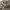 https://res.cloudinary.com/billionhands/image/upload/v1780480477/items/r8vkgz6djabtpzk1zsb8.avif-0cover