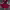 https://res.cloudinary.com/billionhands/image/upload/v1780480895/items/fompaooavyqlmvq1scic.webp-3cover