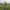 https://res.cloudinary.com/billionhands/image/upload/v1780480903/items/ar2jb5r2zntzshxzuw0f.webp-3cover