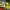 https://res.cloudinary.com/billionhands/image/upload/v1780480909/items/ndmezhadqhnopacdlfwi.jpg-0cover