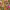 https://res.cloudinary.com/billionhands/image/upload/v1780481449/items/ezs3v5ts9mynbykyrnom.webp-2cover