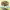 https://res.cloudinary.com/billionhands/image/upload/v1780481466/items/v6lzchfxw3r7fmpzxdko.png-1cover