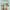 https://res.cloudinary.com/billionhands/image/upload/v1780481472/items/bhuv1dhkrthxzsssnuzp.png-3cover