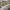 https://res.cloudinary.com/billionhands/image/upload/v1780481473/items/frmdqmjoq8bef4jagkuc.jpg-0cover