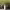 https://res.cloudinary.com/billionhands/image/upload/v1780481477/items/dn2hlk1sc4kurjr4dtti.jpg-1cover