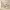 https://res.cloudinary.com/billionhands/image/upload/v1780481484/items/bmp7gitixzd31jxkoozd.webp-0cover