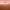 https://res.cloudinary.com/billionhands/image/upload/v1780481570/items/hsknkyrossh35bsympzm.webp-3cover