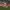 Gol de Kevin Medina (Cádiz CF) cover