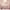 https://res.cloudinary.com/billionhands/image/upload/v1780482471/items/n8ntxlrwhvpe5mw9pzmi.jpg-3cover