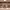 https://res.cloudinary.com/billionhands/image/upload/v1780482532/items/lpv9krartuybn4egi1kt.jpg-2cover