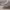 https://res.cloudinary.com/billionhands/image/upload/v1780482635/items/ujxk3ronlicw35wu1f05.webp-0cover
