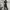 https://res.cloudinary.com/billionhands/image/upload/v1780482659/items/dld1kjeqp1jhy4deeehl.webp-3cover