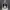 https://res.cloudinary.com/billionhands/image/upload/v1780482782/items/p5x1wcy5xd4mkcte8gpg.jpg-2cover