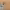 https://res.cloudinary.com/billionhands/image/upload/v1780483477/items/kvmbjw9hfjnvdhqribsu.jpg-3cover
