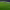 Ayoze Pérez's Goal (Real Betis vs. Granada CF) cover