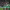 Willian José's Goal (Real Betis vs. Elche CF) cover