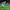 https://res.cloudinary.com/billionhands/image/upload/v1780483689/items/yiq8mb76xwybtsuuibfn.jpg-3cover