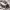 https://res.cloudinary.com/billionhands/image/upload/v1780484088/items/cluwbqcxceomjho82rcg.webp-0cover
