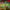 https://res.cloudinary.com/billionhands/image/upload/v1780484438/items/ppmoqedpesr49thynxqn.jpg-2cover