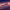 https://res.cloudinary.com/billionhands/image/upload/v1780484477/items/vslplkqjn7izlso9ehtq.jpg-2cover