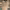 https://res.cloudinary.com/billionhands/image/upload/v1780484783/items/hu1ggmu7o9w4o4andnok.webp-2cover