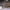 https://res.cloudinary.com/billionhands/image/upload/v1780485021/items/lalu7yv9b8nhey1vjfm6.jpg-3cover